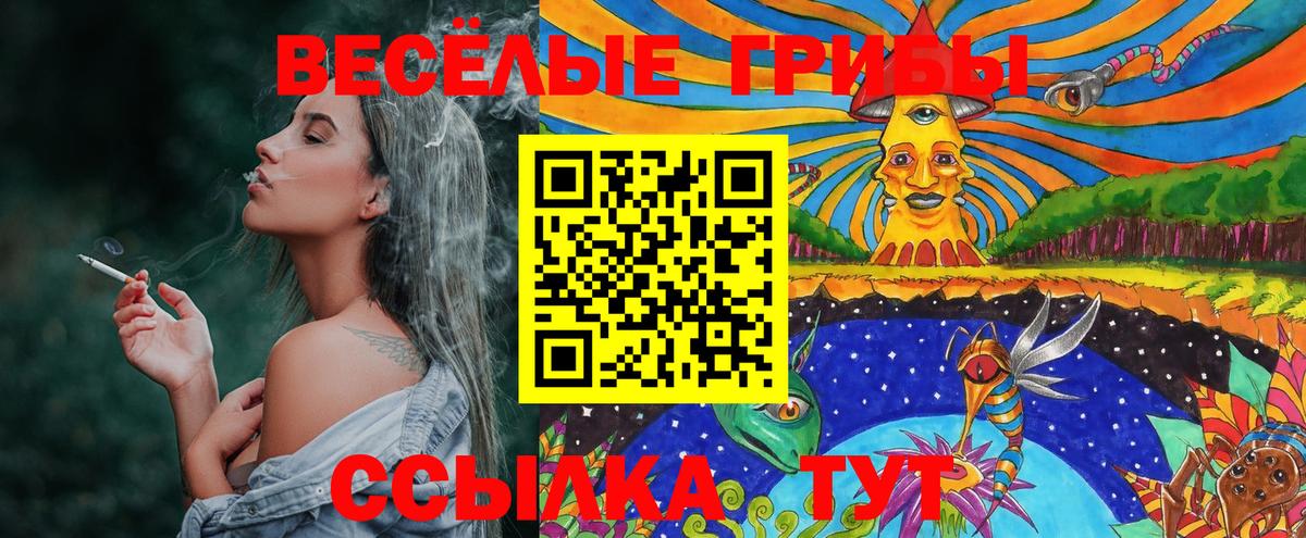 Галлюциногенные грибы мухоморы  Вход с VPN  Железноводск 