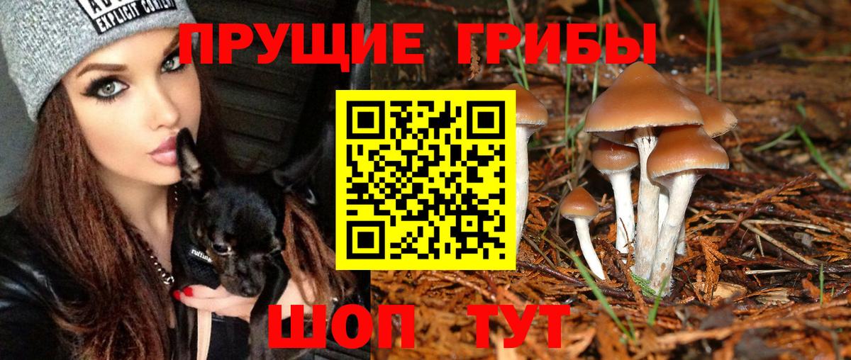 Галлюциногенные грибы прущие грибы Железноводск
